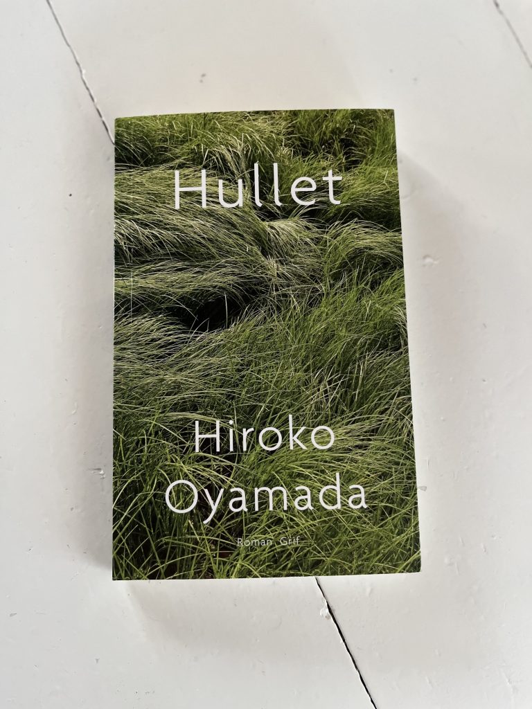 A picture of the book "The Hole" by authour Hiroko Oyamada